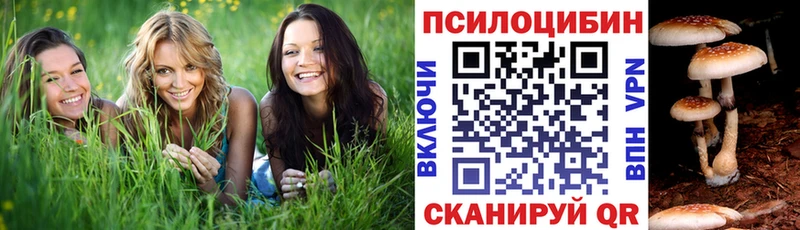 kraken ONION  где продают   Пущино  Псилоцибиновые грибы ЛСД 
