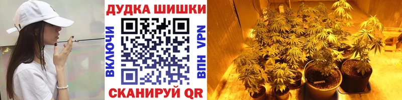продажа наркотиков  Пущино  Конопля индика 